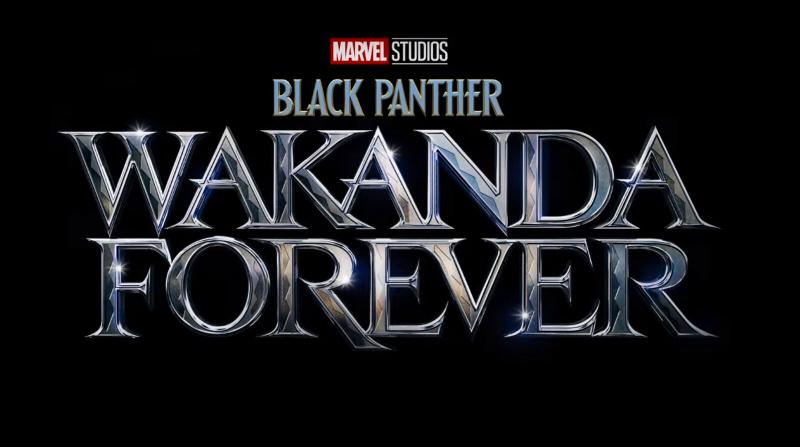 Black Panther Wakanda Forever