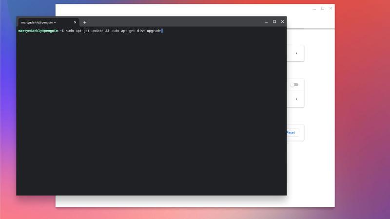 Cómo instalar Linux en Chromebook: Actualización de Linux