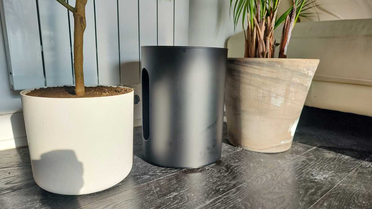 Sonos Sub Mini con plantas