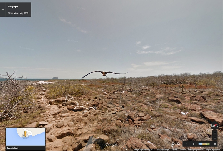 Funny Google Street View