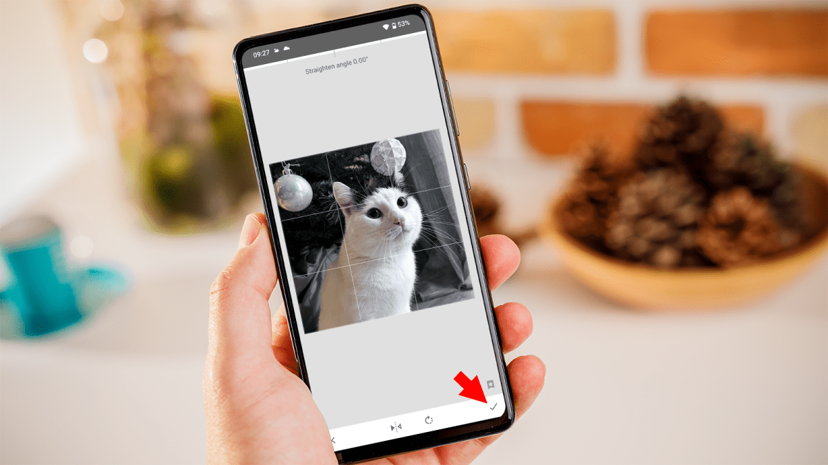 Guía de cómo voltear una foto selfie en Android